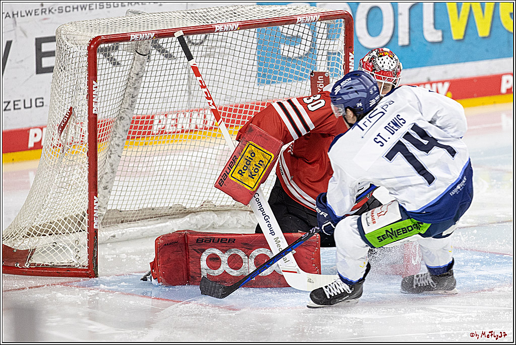 PENNY DEL;  Koelner Haie - Straubing Tigers; Koeln, 28.12.2022